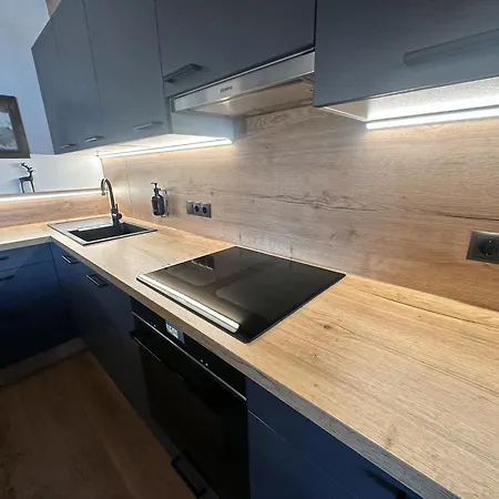 公寓 Penthouse Mountain A24 By Alpinresort 卡普伦